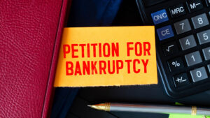 crucial role of a bankruptcy trustee in debt relief process